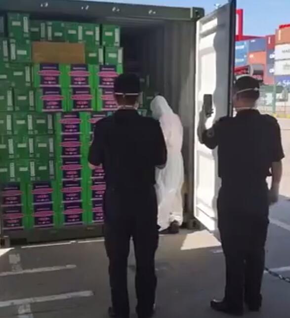 <a href='http://m.taoyyy.net' title='危險品運輸' >危險品運輸</a>