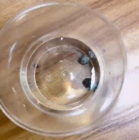 <a href='http://m.taoyyy.net' title='危險(xiǎn)品貨代' >危險(xiǎn)品貨代</a>